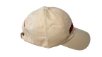 The Thinking Cap